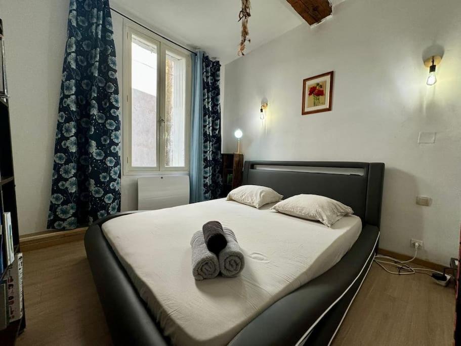 Le Refuge Du Coquelicot Apartment Beziers Ngoại thất bức ảnh